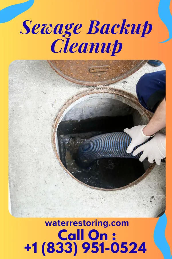 Sewage Backup Cleanup in Alburtis, PA