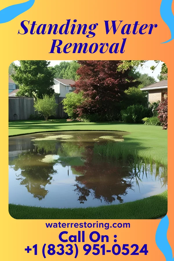 Standing Water Removal in Alburtis, PA